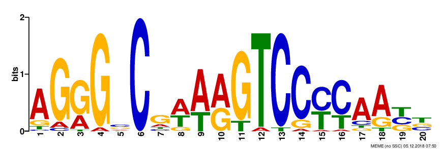 Finding Hidden Messages In DNA